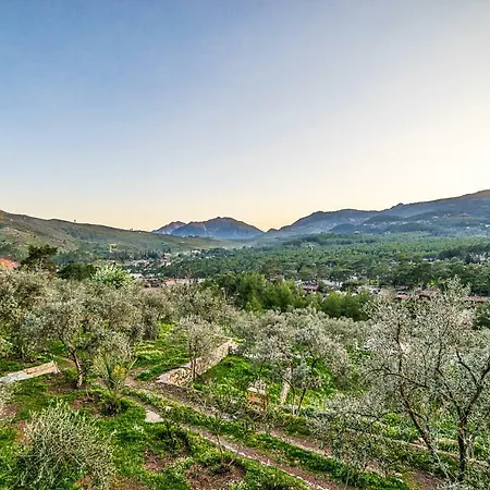 מלון The Vegan 3*