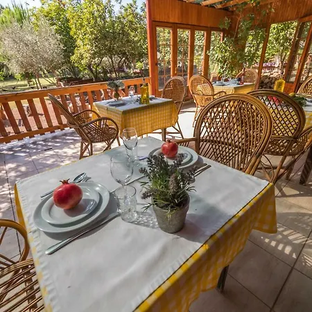 The Vegan 3* Antalya