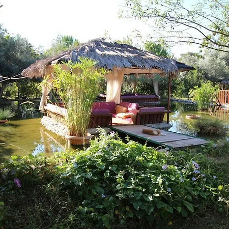 The Vegan 3* Antalya