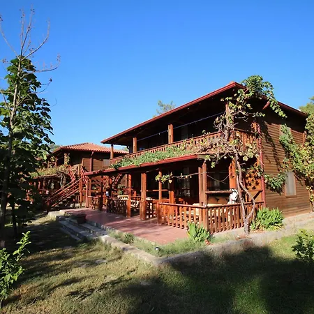 The Vegan Hotel