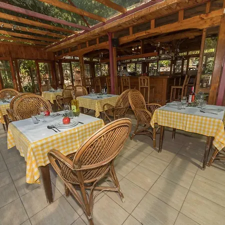 Hotel The Vegan 3*