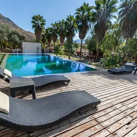 The Vegan Hotel