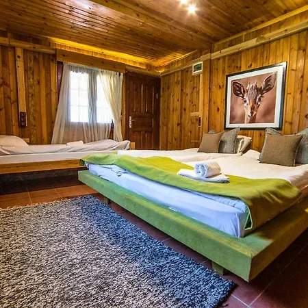 The Vegan 3* Antalya