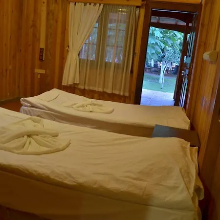 The Vegan Hotel