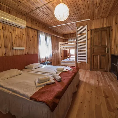 Hotel The Vegan 3*