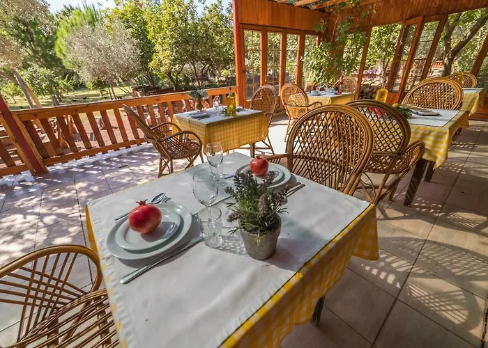 The Vegan 3* Antalya