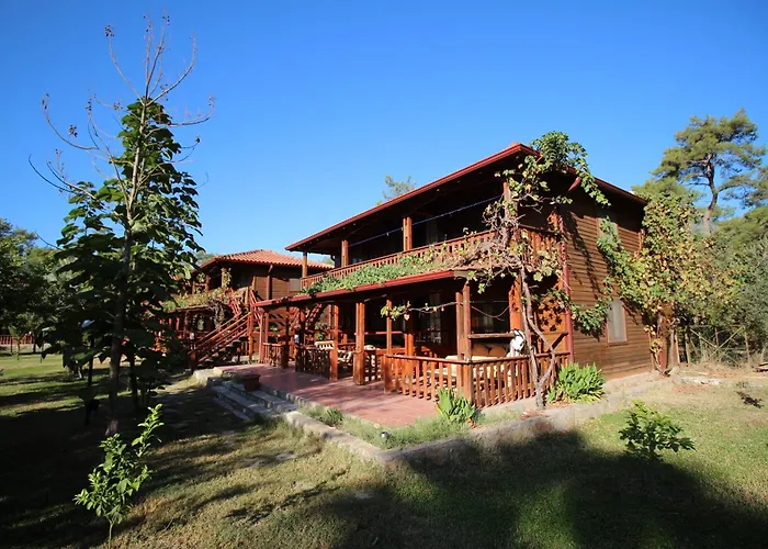 The Vegan Hotel