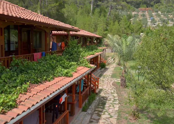 The Vegan 3* Antalya