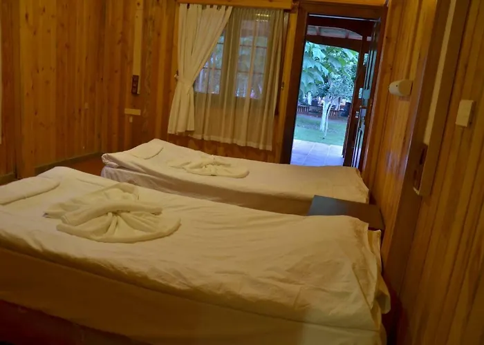The Vegan Hotel
