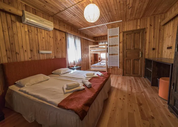 Hotel The Vegan 3*