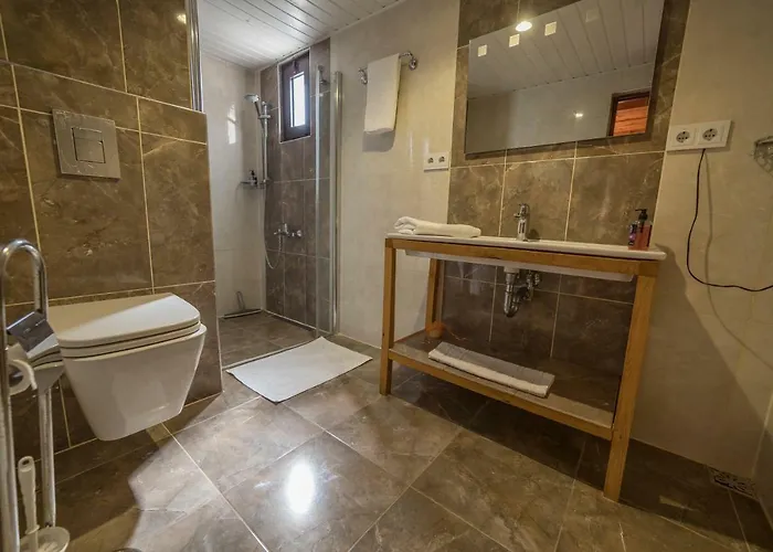 Hotel The Vegan 3*
