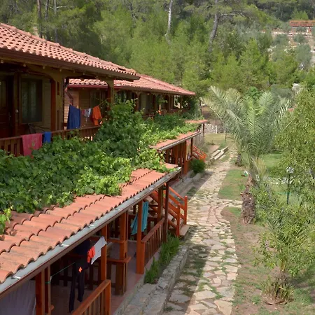 The Vegan 3* Antalya